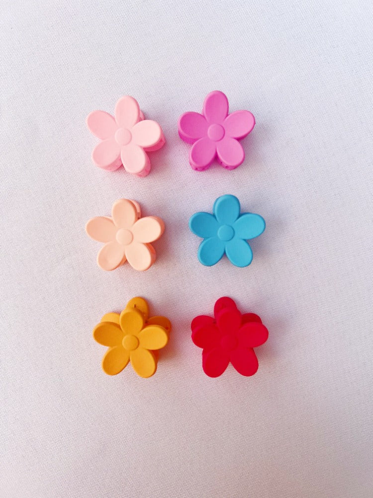 PINZAS DE FLOR COLORES